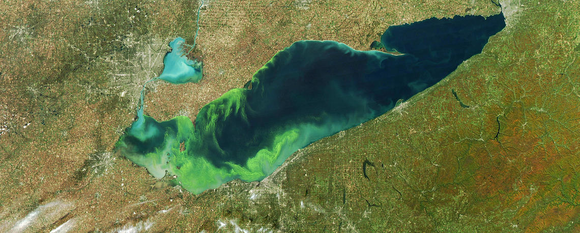 Satellite view of a well-known Harmful Algal Bloom in Lake Erie Photo: USGS