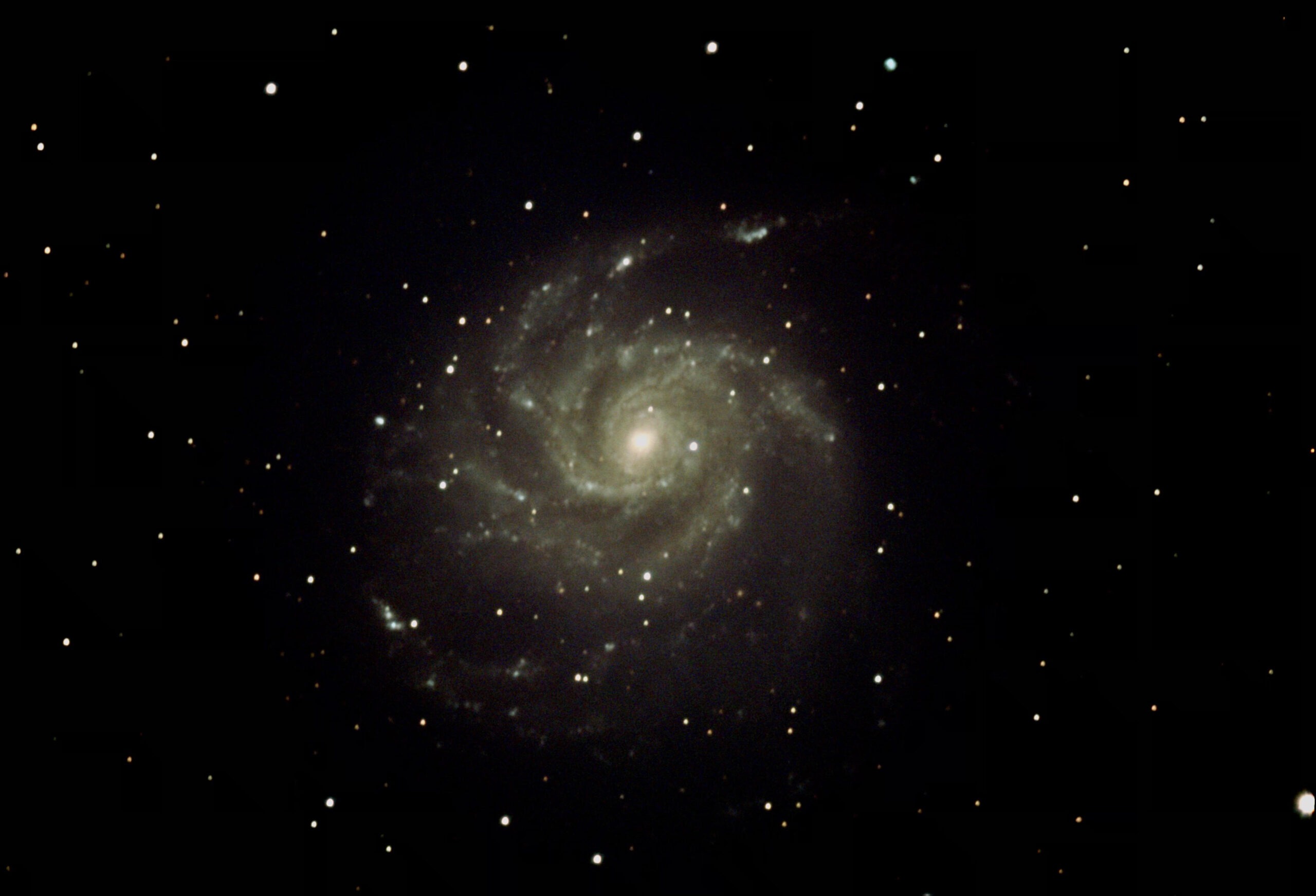 Pinwheel Galaxy, M101    Photo: Dan Sajkowski