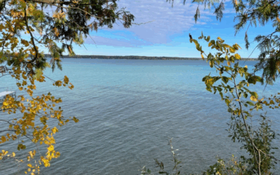 What’s Good for your Health and Torch Lake? Trees