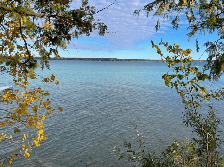 Fall foliage at Torch Lake Kessler Park