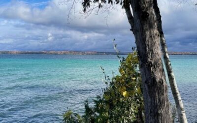 Protect the Health of Torch Lake – Conserve Your Land!