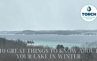 10 Great Things To Know About Your Lake In Winter