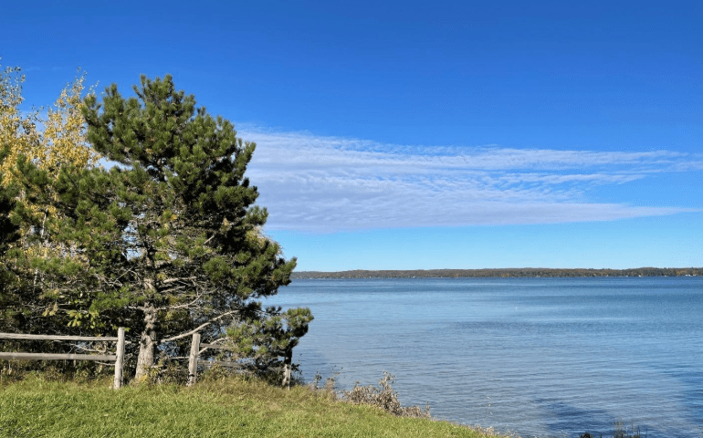 A view of Torch Lake from Waring Road Boat Launch 
