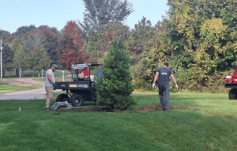 Members of DTE energy’s ReLeaf Michigan program planting a tree 
