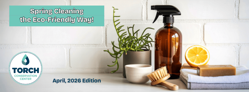 cleaning products on counter