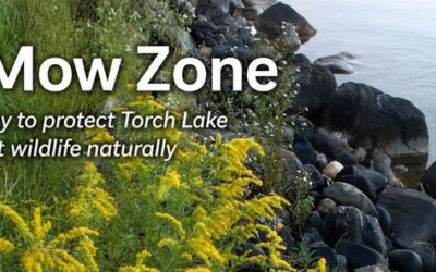 No Mow Zone