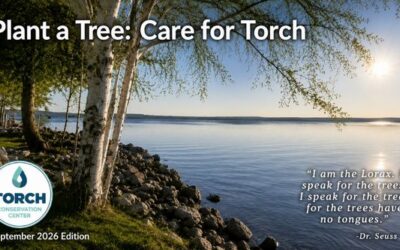Plant a Tree. Care for Torch.